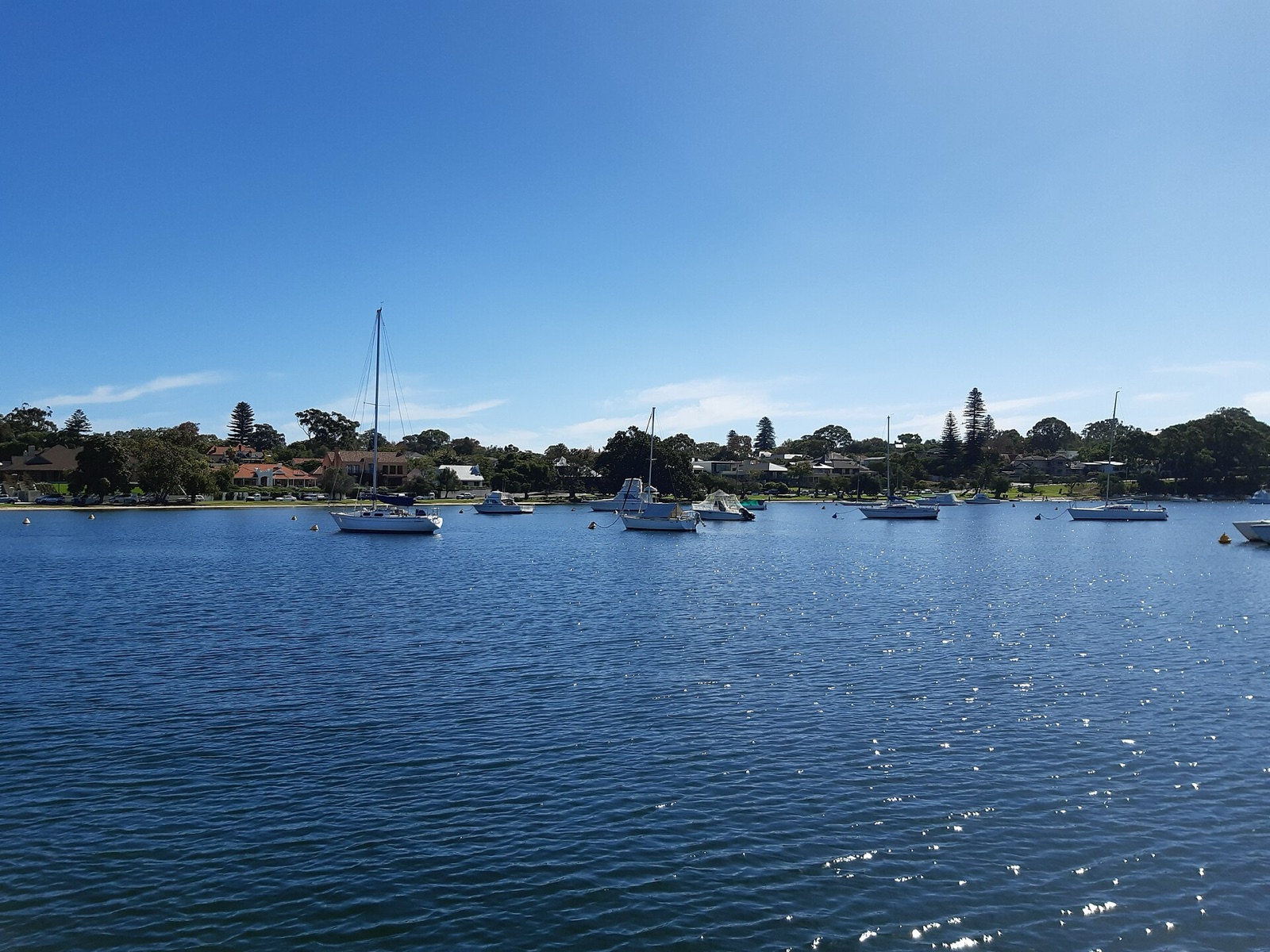 Freshwater Bay on the Swan River by Peppermint Grove